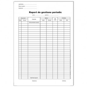RAPORT DE GESTIUNE PERIODICA