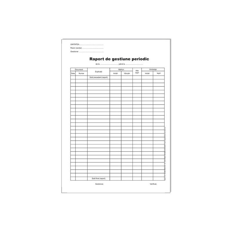 RAPORT DE GESTIUNE PERIODICA