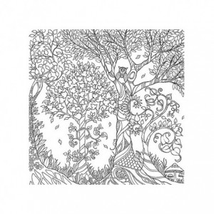 GARD-1 CARTE MYSTERIOUS GARDEN