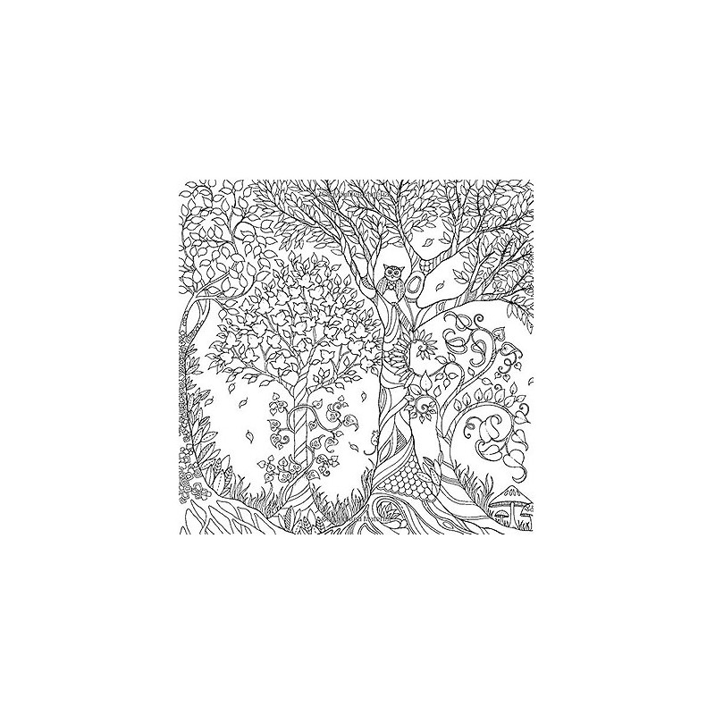 GARD-1 CARTE MYSTERIOUS GARDEN