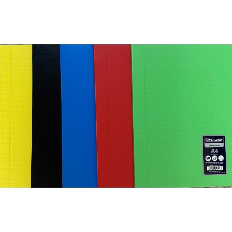 CAIET A4 60F PPP PLASTIFIAT DICTANDO