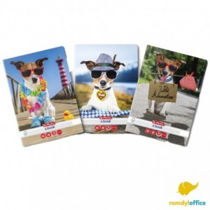 CAIET A5 48F MATEMATICA COOL DOG HERLITZ, set 10