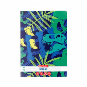 CAIET A5 48F DICTANDO DINO MANIA HERLITZ, set 10