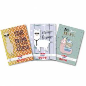 CAIET A5 48F DICTANDO SPORTS HERLITZ, set 10