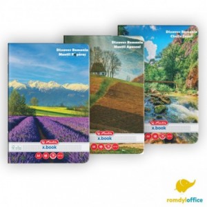 CAIET A4 60F MATEMATICA DISCOVER ROMANIA HERLITZ, set 5