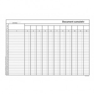 DOCUMENT CUMULATIV A4 VERTICAL OFFSET