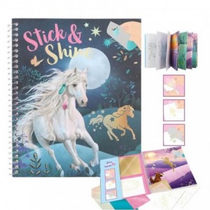 TM-CARTE ACTIVITATI Stick & Shine