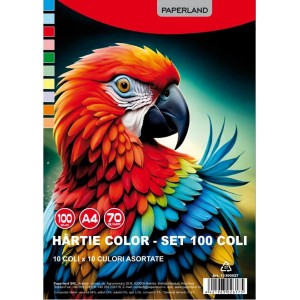 PP-HA-1 HARTIE COLOR 70GR 100COLI/SET
